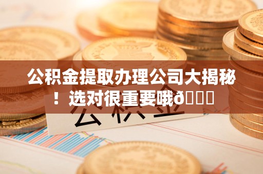 利辛公积金提取办理公司大揭秘！选对很重要哦😎