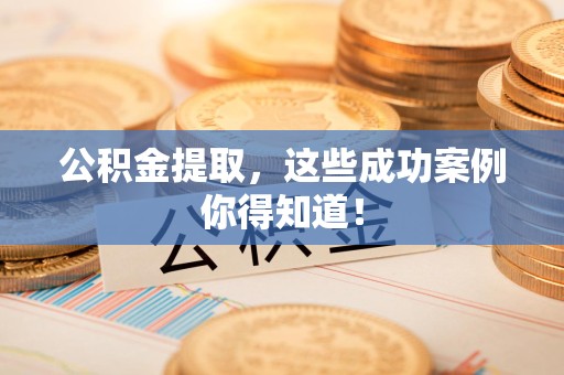 利辛公积金提取，这些成功案例你得知道！