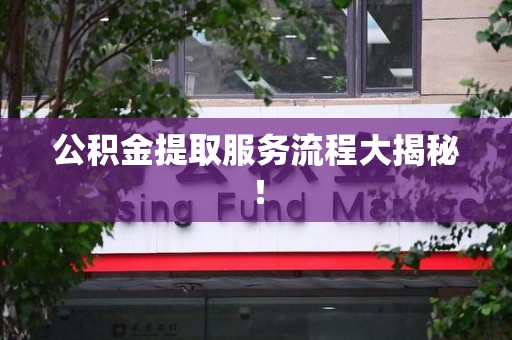 利辛公积金提取服务流程大揭秘! 利辛公积金提取服务流程大揭秘!