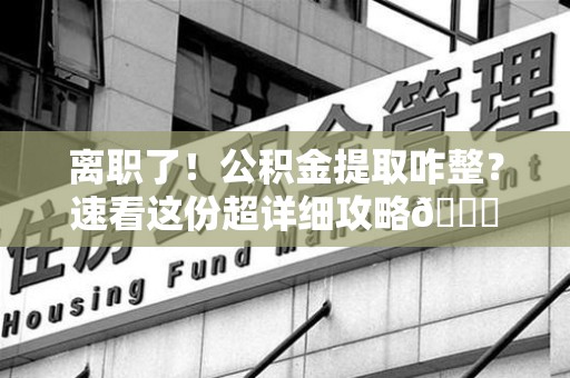 利辛离职了！公积金提取咋整？速看这份超详细攻略😎